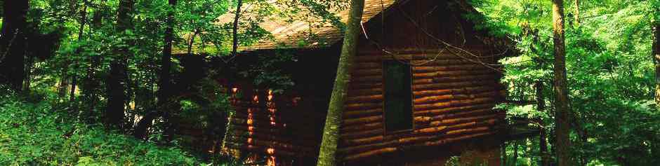 Nature's Heart Cabin in the Eureka Springs, AR Ozark Mountains