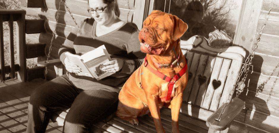 Pet Friendly Cabins in Eureka Springs Arkansas - Reading a book on the porch swing and Dogue de Bordeaux