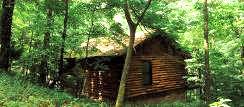 Eureka Springs, AR Cottage / Cabin in the Woods
